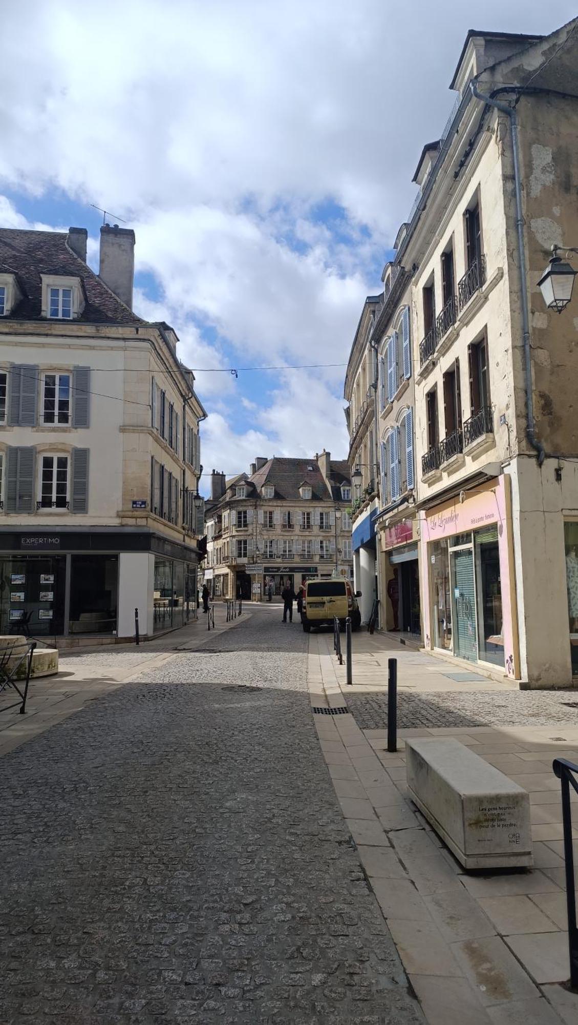 Terre De Bourgogne - Appartement Au Centre Ville D'Авалон Екстериор снимка
